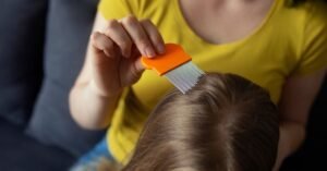 dreaming about head lice