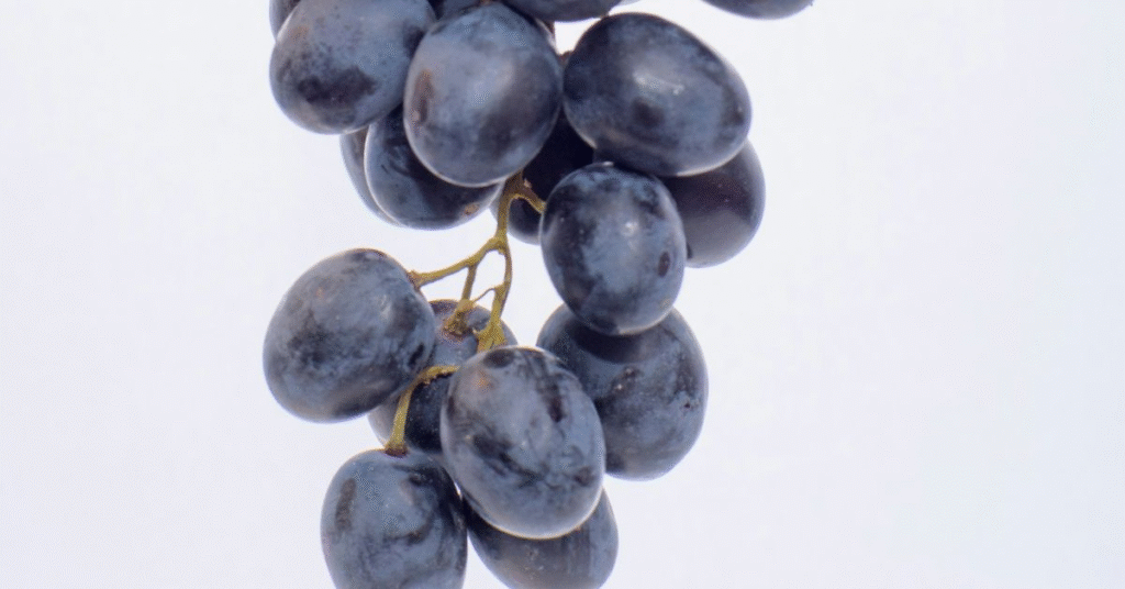 Positive Signs: Wealth, Love, and Recognition