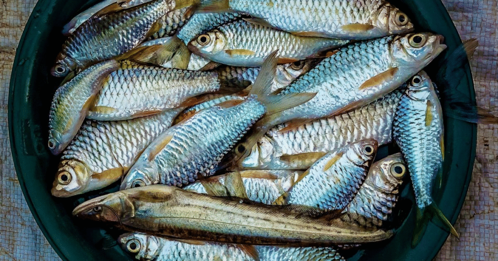 What Does Fish Symbolize Spiritually in Dreams?