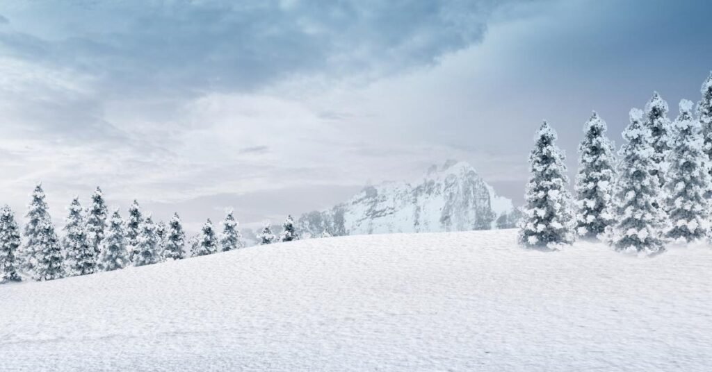 Cultural and Historical Meanings of Snow Dreams