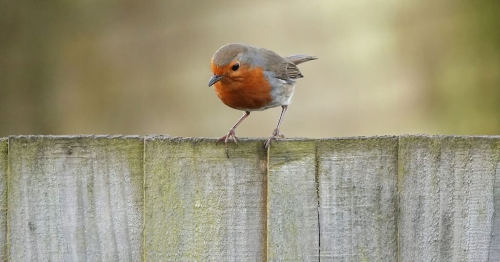 Symbolism of Colors in Dreams